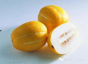初孕可以吃密瓜吗,密瓜，孕期美味的选择