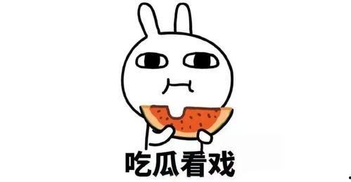 吃瓜返聘,返聘背后的故事与启示