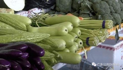 平顶山吃瓜中毒,揭秘夏日美食背后的安全隐患